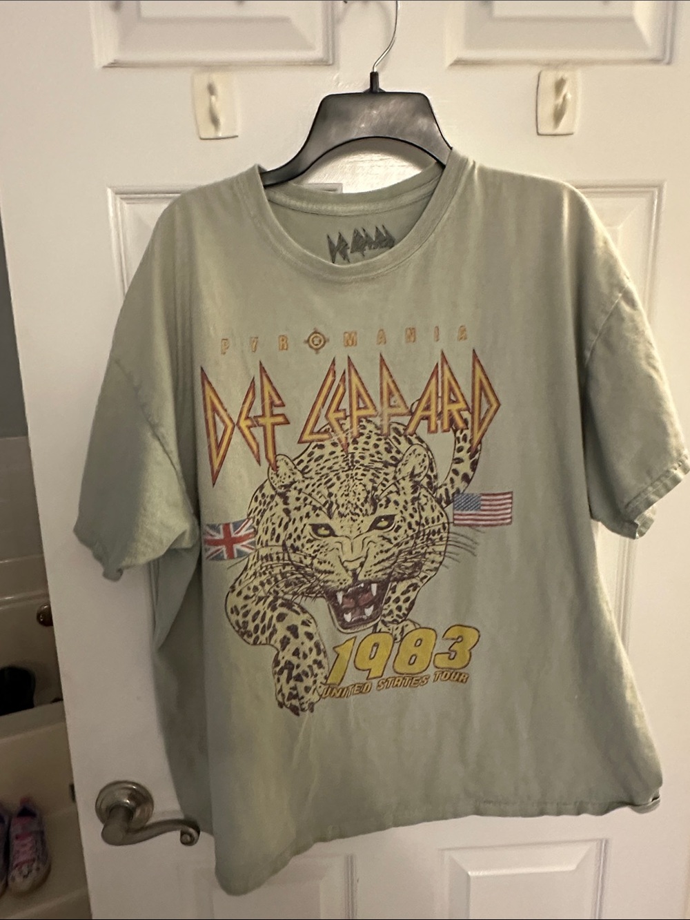 Women’s Graphic Tee in Sage Green - Band Tour Design